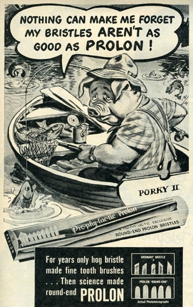 An advertisement for Prophylactic Prolon bristles showing a pig on his boat during a successful fishing trip, but thinking, Nothing can make me forget that my bristles aren't as good as prolon.
